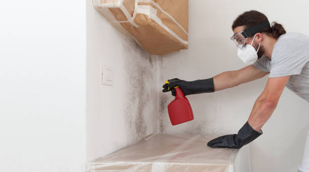 Professional Mold Remediation technician working in Estell Manor, NJ